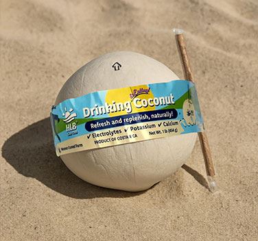 HLB Coconut Water