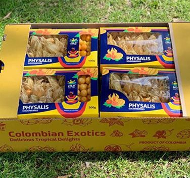 HLB Frutas Exóticas